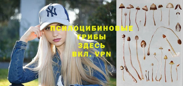 ПСИЛОЦИБИНОВЫЕ ГРИБЫ Алексин