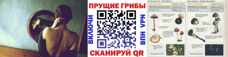 закладки  Лахденпохья  MEGA tor  Галлюциногенные грибы мухоморы 